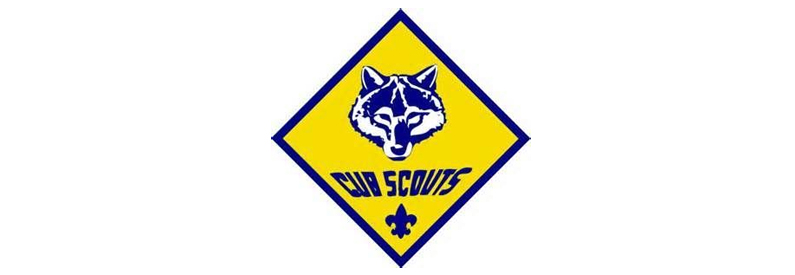 CL360 and the Cub Scouts
